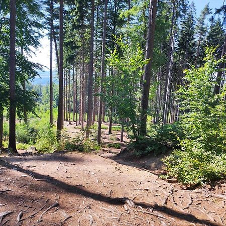 Apartament "Na Szlaku" Glucholazy Esterno foto